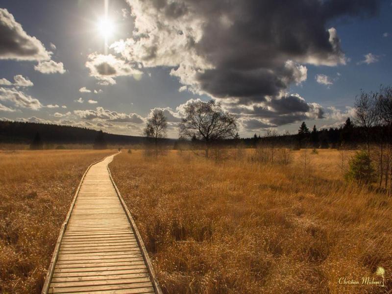 Domaine Des Hautes Fagnes image