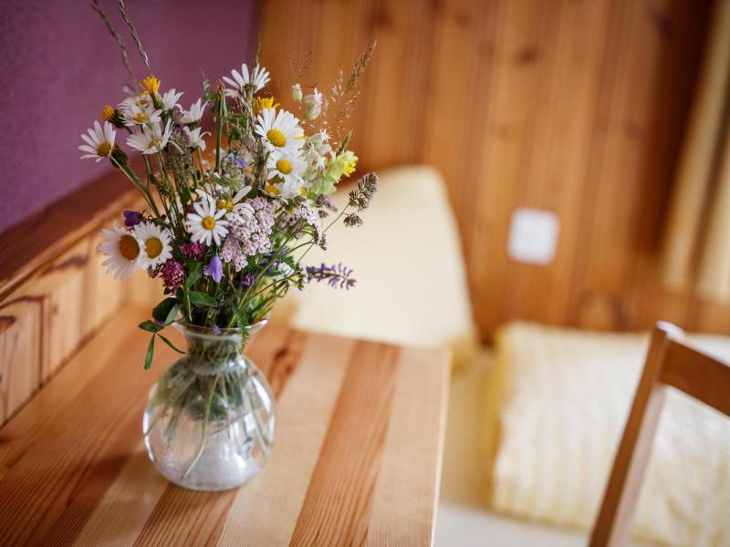 Hotel Nufenen image