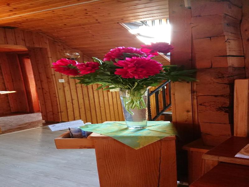 Hotel Nufenen image