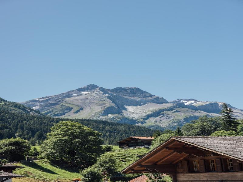 Hotel Sanetsch image