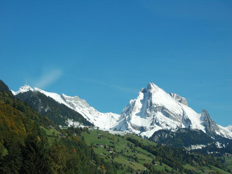 Gasthaus Schv Fli image