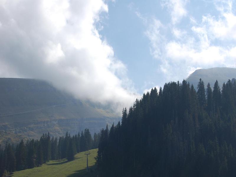 Gasthaus Schv Fli image