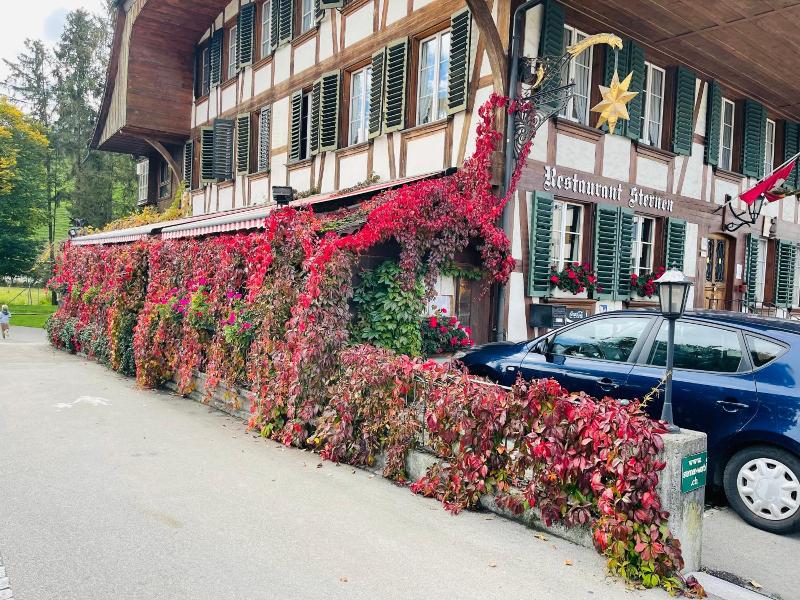 Hotel Sternen Worb image