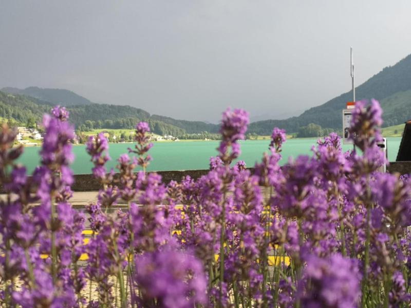 Hotel Restaurant Eierhals Am Vngerisee image