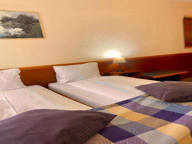 Hotel Zum Roten Lv Wen image