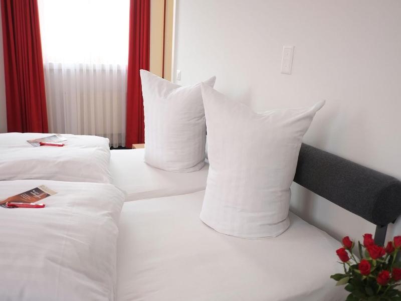 Hotel Brauerei Frohsinn image