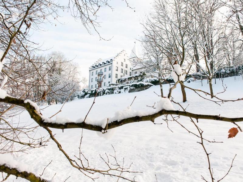 Schloss Wartegg image