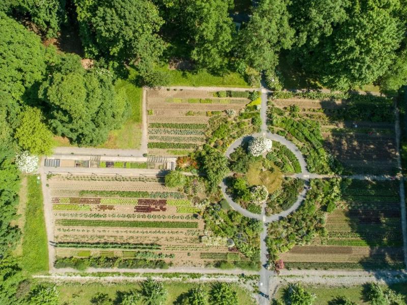 Schloss Wartegg image