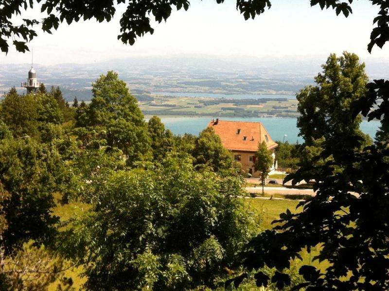Petit Hv Tel De Chaumont image