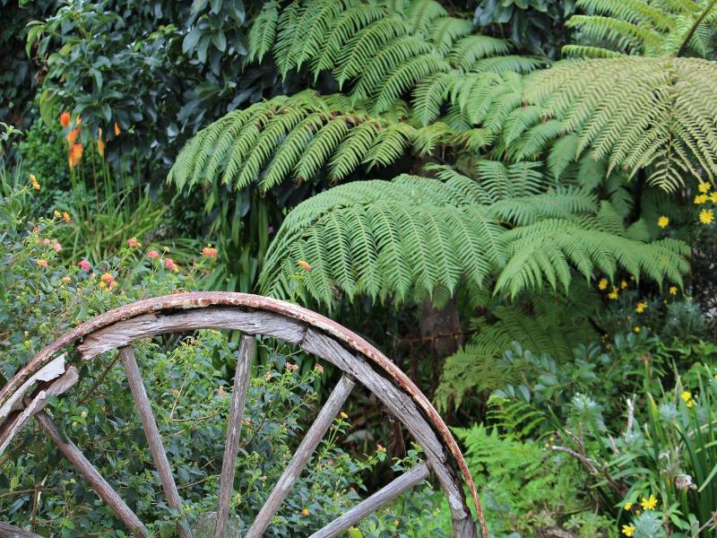 Coromandel Cottages image