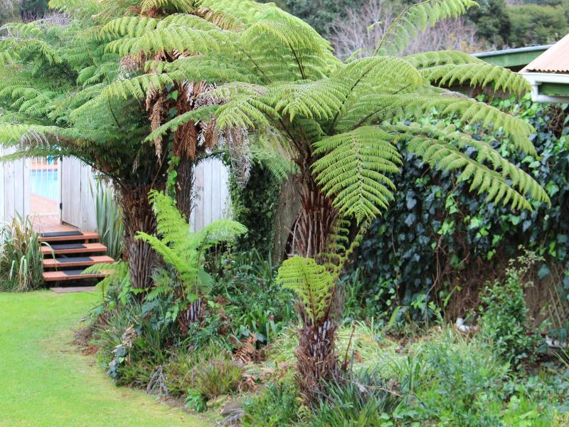 Coromandel Cottages image