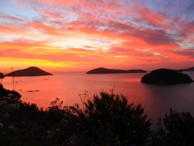 Coromandel Cottages image