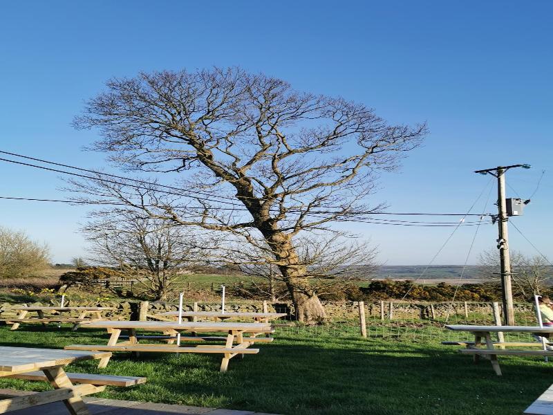 The Manor House Inn image