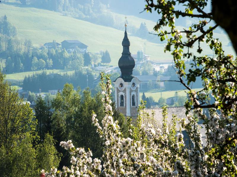 Landhaus Steiner image