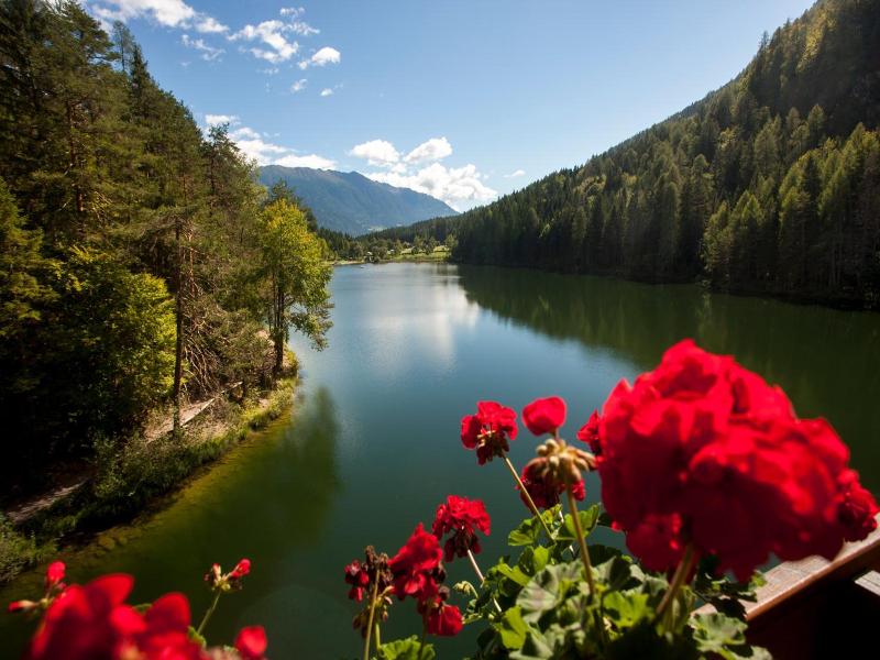 Parkhotel Tristachersee image