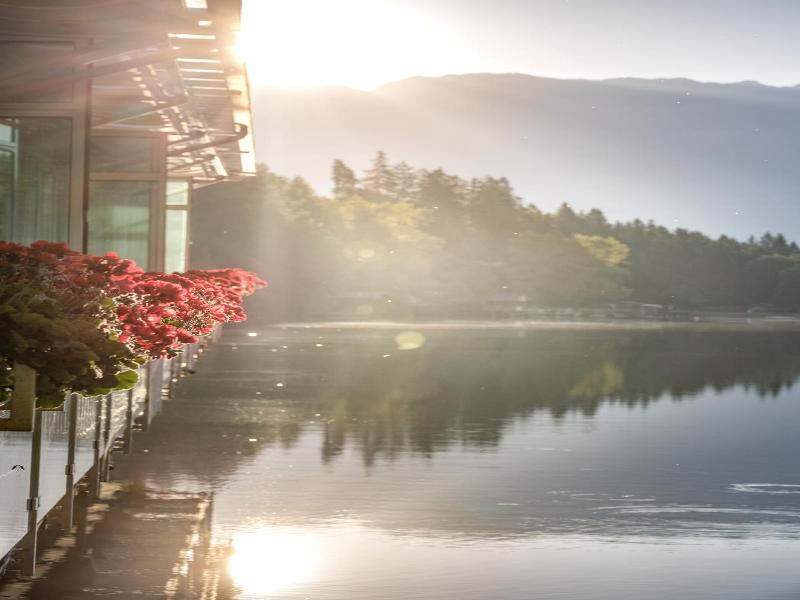Parkhotel Tristachersee image