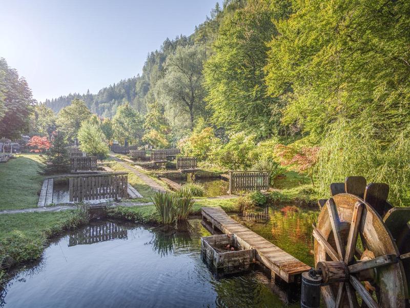 Parkhotel Tristachersee image
