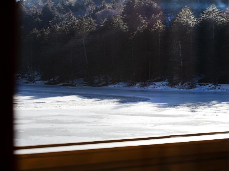 Parkhotel Tristachersee image
