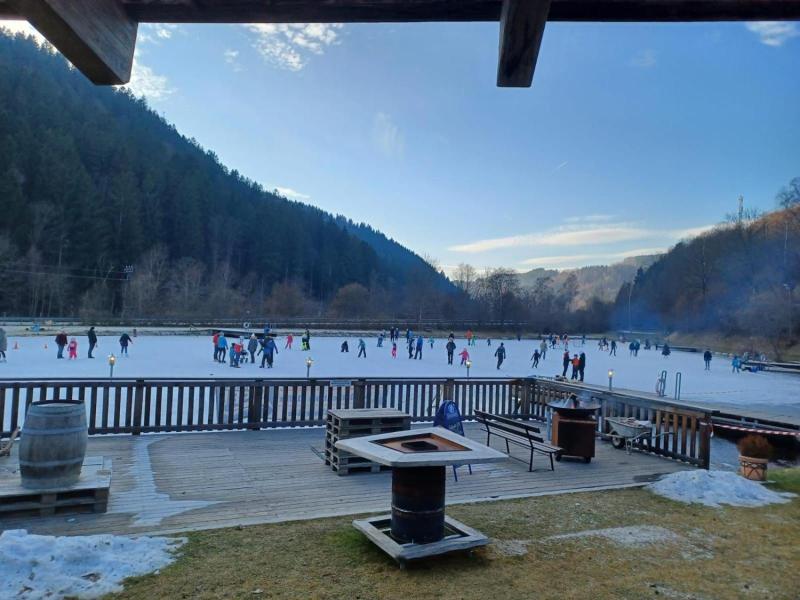 Seegasthof Breineder Familien Seminarhotel image