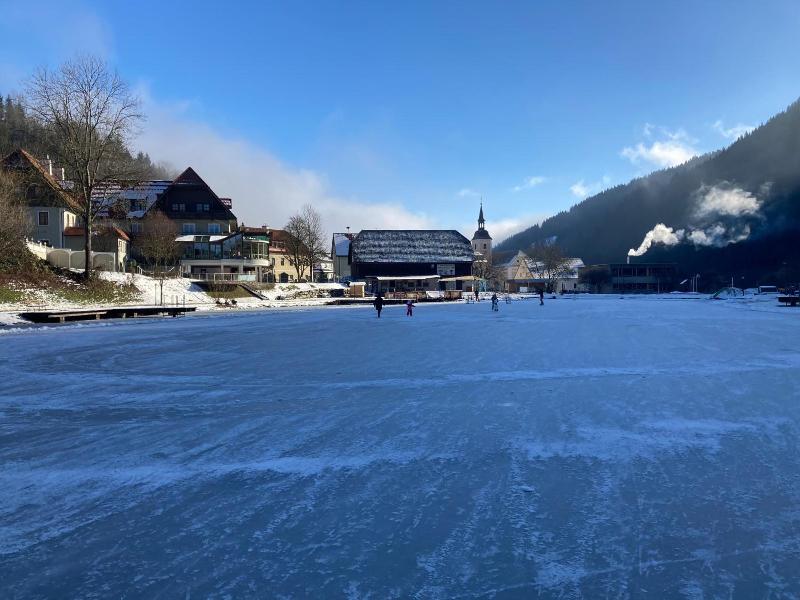 Seegasthof Breineder Familien Seminarhotel image