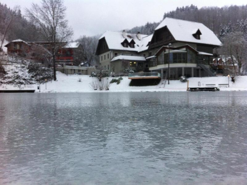 Seegasthof Breineder Familien Seminarhotel image