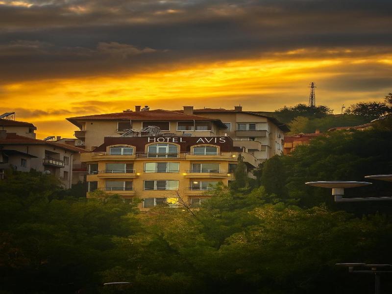 Hotel Avis image