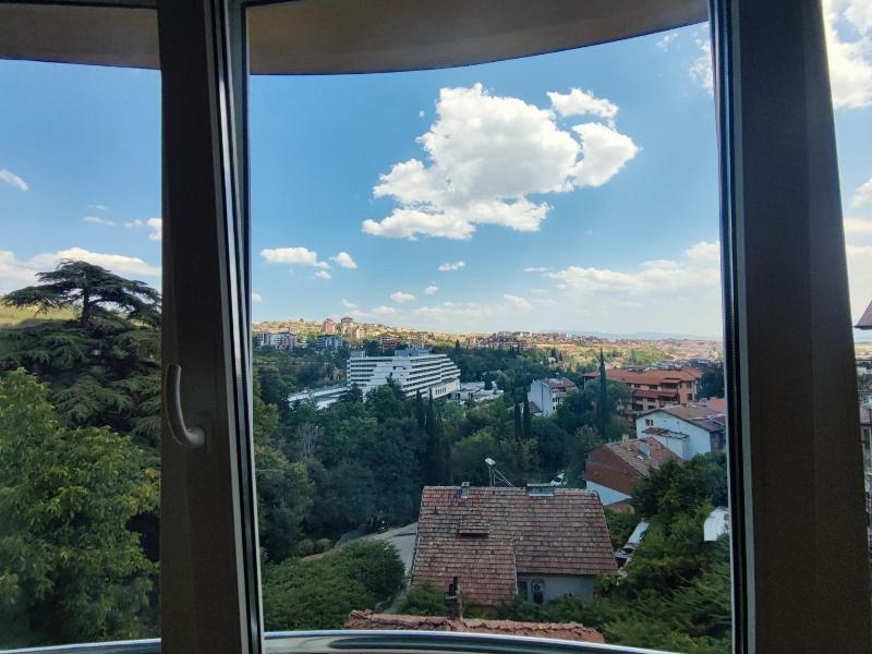 Hotel Avis image