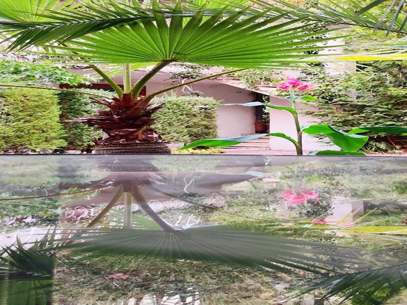 Park Hotel Amfora image