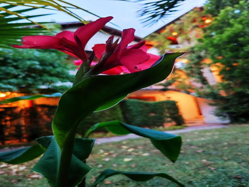 Park Hotel Amfora image