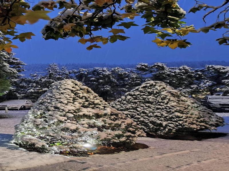 Park Hotel Amfora image