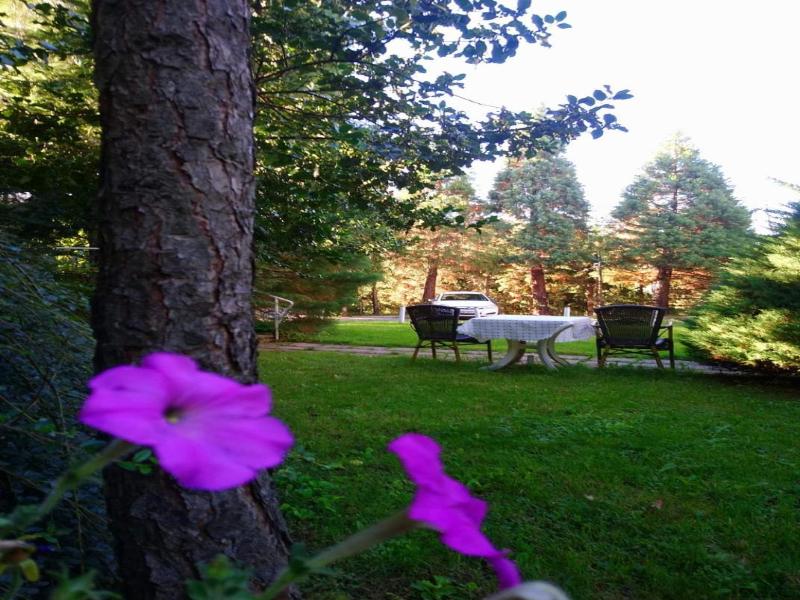 Park Hotel Amfora image