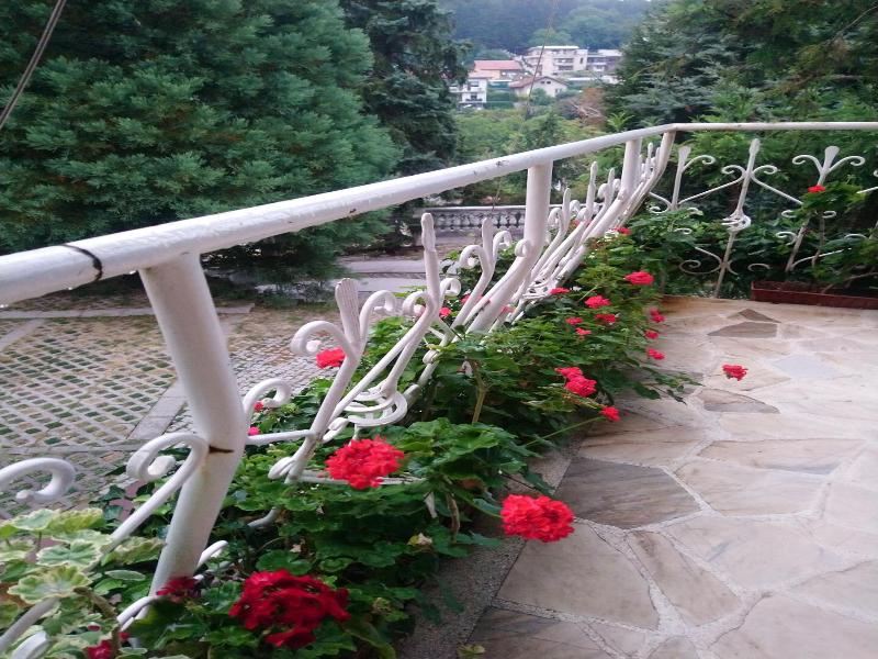 Park Hotel Amfora image