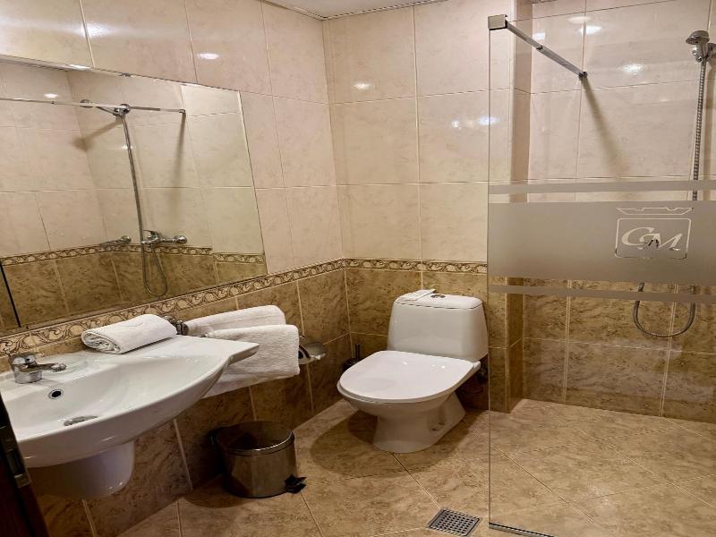Chateau Montagne Hotel Troyan