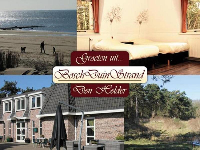 Hotel Studio Bosch Duin Strand image
