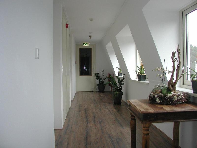 Hotel Studio Bosch Duin Strand image