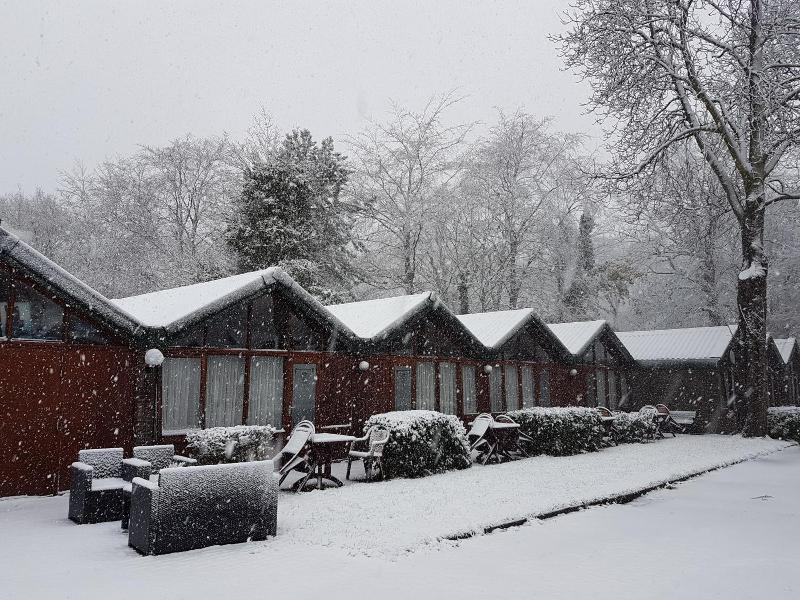 Motel Oostvoorne image