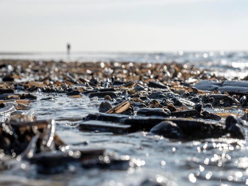 Hotel Steeds Aan Zee image