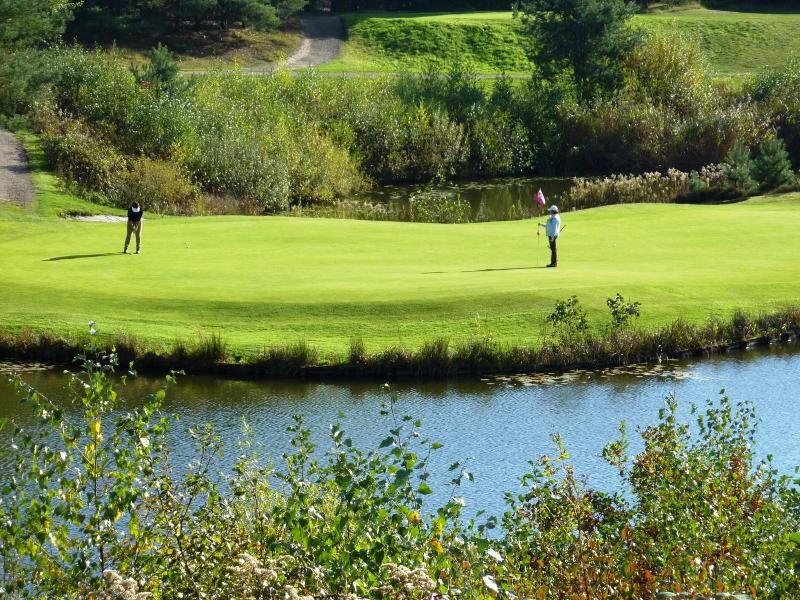 Golf Resort Brunssummerheide image