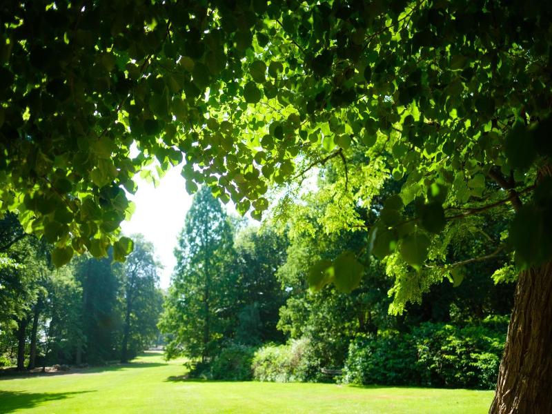 Landgoed Rhederoord Nabij Arnhem image
