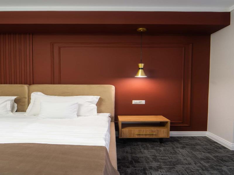 Hotel Zamca Suceava image