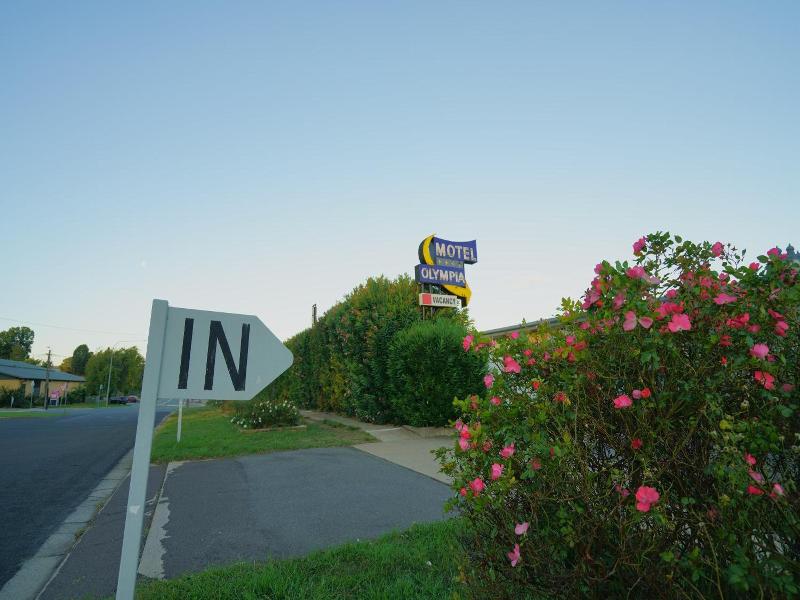 Olympia Motel image