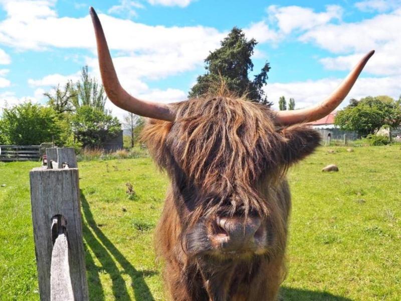 Ratho Farm