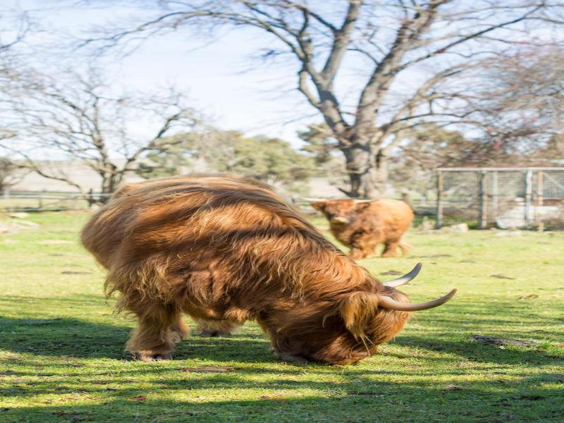 Ratho Farm