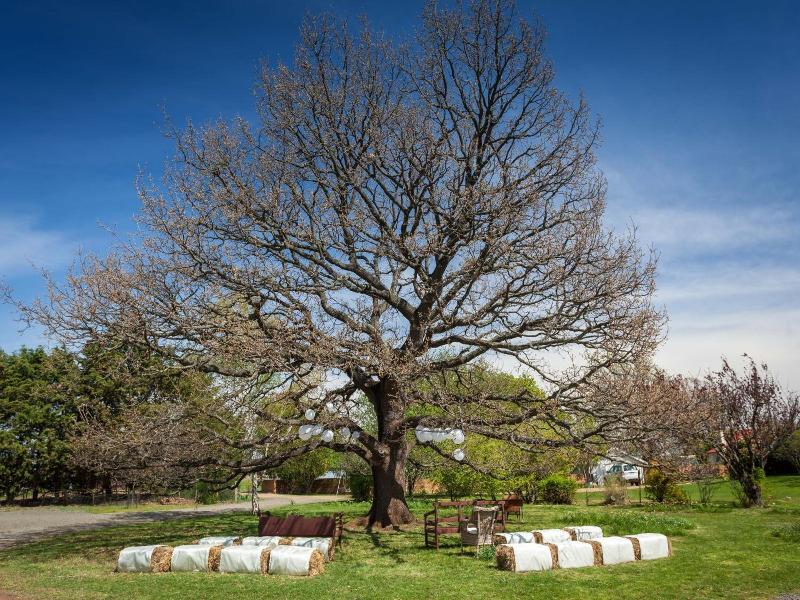 Ratho Farm