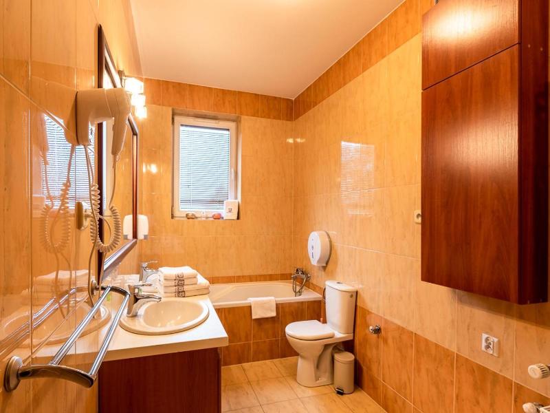 Hotel Kasztelan image