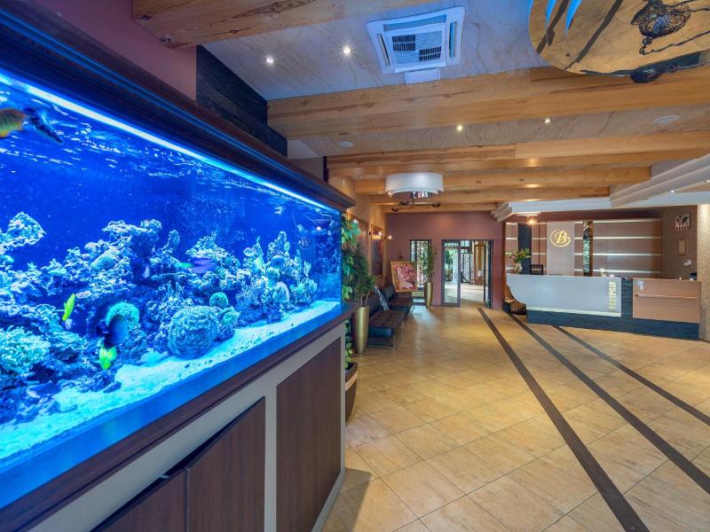 Hotel Badura image