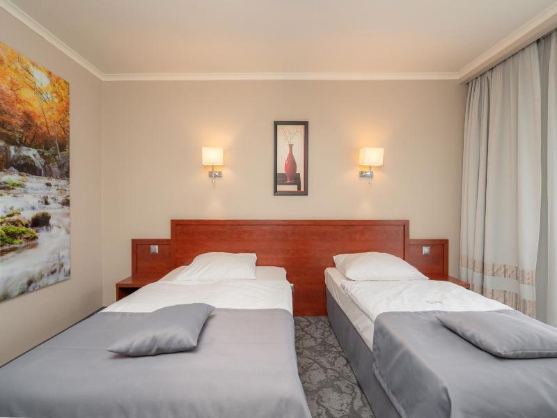 Hotel Badura image