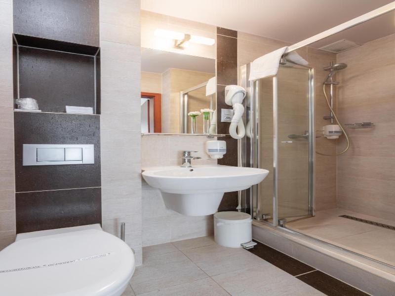 Hotel Badura image