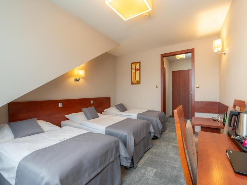 Hotel Badura image
