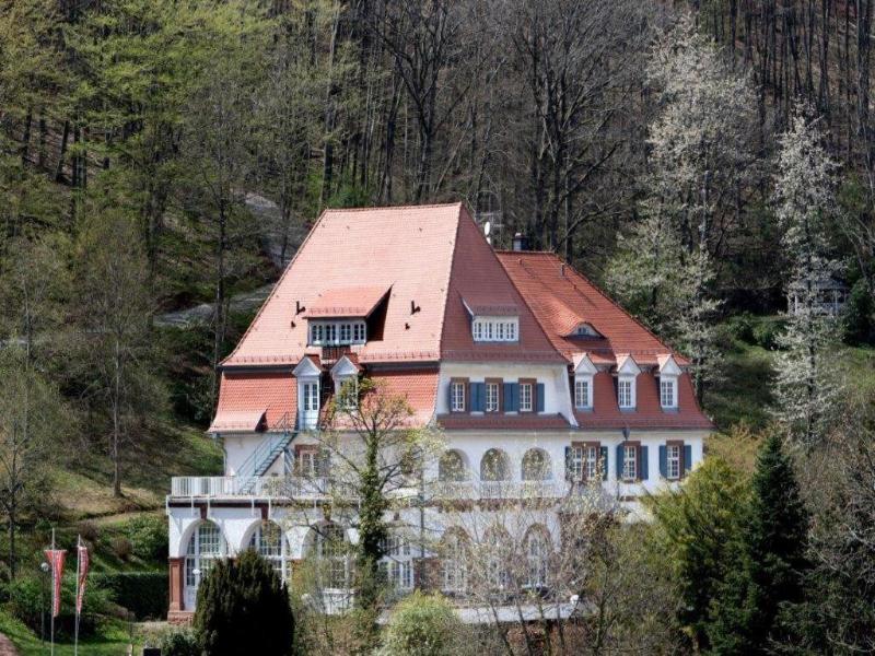 Jugendstilhotel Trifels image